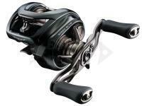 Mulinelli Baitcasting Daiwa 24 Steez SV TW 100L