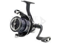 Jaxon, Daiwa e saldi Delphin