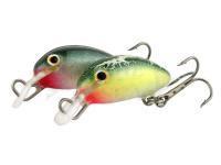 Hunter Esche Junior