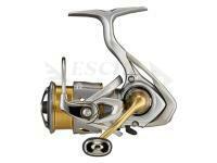 Mulinello Daiwa 21 Freams LT 2000S