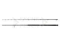 Canna Savage Gear Defiance SG2 Shore Jigging 2.90m 20-80g