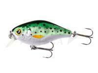 Artificiale rigido Mikado Fishunter Bold Head 40mm 3.5g - Rainbow Trout