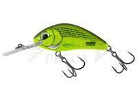 Esche Salmo Hornet Rattlin H5.5 - Chartreuse