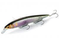 Megabass Kanata Ayu