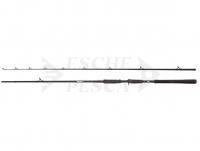 Canna Abu Garcia Beast Pike Casting 2.59m 50-200g