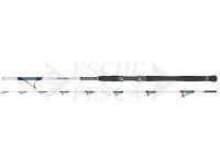 Canna mare Dragon Boat Master Jig 40-200g 2,40m