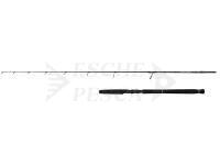 Canna Savage Gear Defiance SG2 Jigging 1.80m max 250g