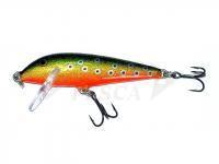 Esca Rapala CountDown 7cm - Brook Trout