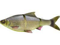 Esca Savage Gear 3D Line Thru Roach 18cm 86g S - Toxic Roach
