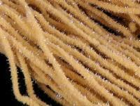 Hends Mop Chenille - 103