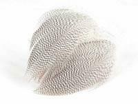 Mallard Duck Drake Grey Flank Large 5-8cm - RUSTY