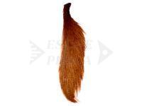 Collo Ewing Half Capes - Brown
