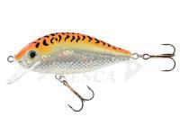Jaxon Karas 5.5cm F Color GFT
