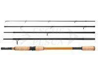 Canna Shimano STC AX Spinning 2.70m 14-42g