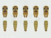 Hemingway's Mayfly Wings Buds and Back - Large | Yellow
