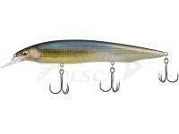 Megabass Kanata+1 F 160mm 30.0g DD Silver Shad