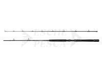 Canna Savage Gear Salmonoid SG2 Trolling 2.44m 12-20lb