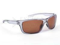 Shimano Antares Transparent Grey & Copper