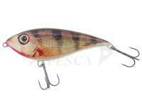 Esca Hunter Dominator 100mm 25g F - RP