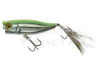 Esche Illex Chubby Popper 42 | 42mm 3.3g - RT Visible Roach