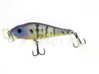 Esca Molix Shaman Popper 8cm 12g - 57 Blue Gill