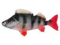 Esche Fox Rage Ultra Natural Fillets 8cm - Perch