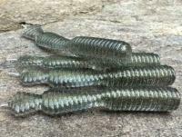 Esche Great Fish GF2 Leech 60mm 1.8g - no scent - natural