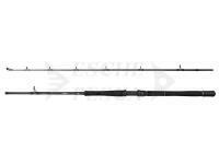 Canna Savage Gear Fury SG2 Boat 2.13m 200-600g