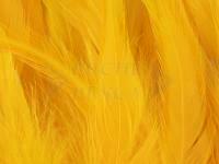 Rooster Saddle Feather - Sun Burst