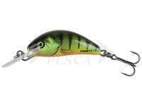 Esca Salmo Hornet 2.5cm 2.4g S - Hot Perch