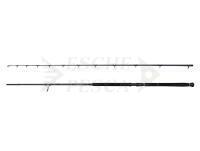 Canna Savage Gear Defiance SG2 Shore Jigging 2.90m 15-60g