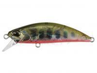 Esca DUO Spearhead Ryuki 60S Awabi - DDH4038 Yamame RB AM