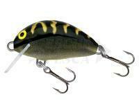 Salmo Tiny IT3S BT