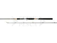 Canna Favorite Totem 130 Series TTM1C-842-80 2.54m 20-80g Fast Casting