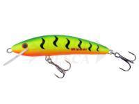 Esca Kenart Winner Pro 9 - GT