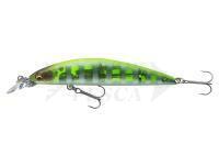 Esche Daiwa Tournament Current Master 93F-SR | 9.3cm 12g - chart back zebra
