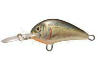 Esca Dorado Blagier 3,5F AL