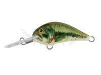 Esca Dorado Blagier 3,5F BS