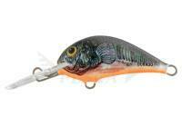 Esca Dorado Blagier 3,5F CK