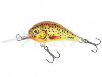 Esca Dorado Blagier 3,5S TR