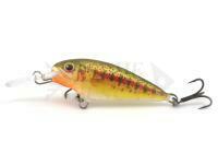 Dorado Invader I-5 Floating GTR