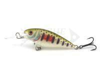 Dorado Invader I-5 Sinking DGR