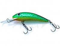 Esca Gloog Kalipso 60SDR - STG