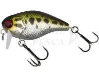 Esca Illex Chubby 41 SSR 4.1cm 5.7g - HL Agressiv Bass