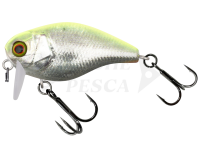 Esca Illex Chubby 41 SSR 4.1cm 5.7g - RT Visible Roach