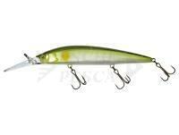 Esca Illex Rerange 110 DR SP 16.3g - SG Ayu