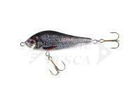 Esca Jaxon Holo Select Elon Nature 3D 8cm 11g - PA