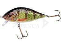 Esca Jaxon Holo Select Karaś Nature 3D 8cm 14g - OH