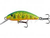 Esca Kenart Fox 5.5cm RX
