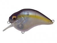 Esca Megabass S-Crank 1.5 F | 65.6mm 14g 1/2oz. - SEXY FRENCH PREARL